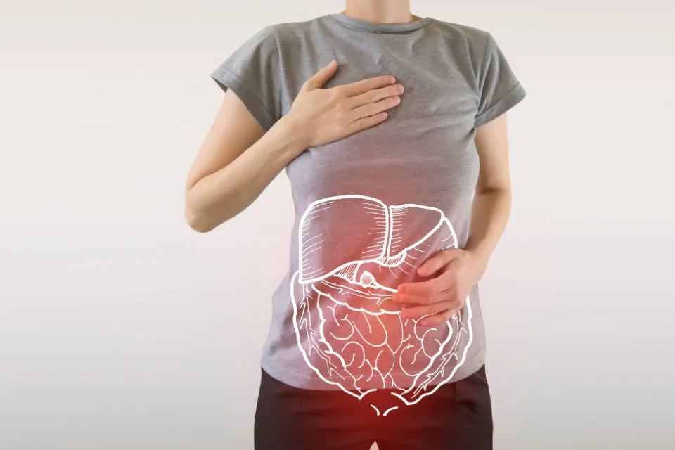 Salud digestiva