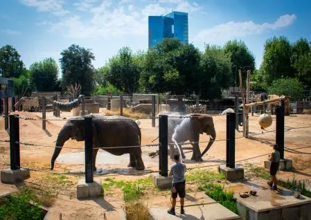 Zoo barcelona 2