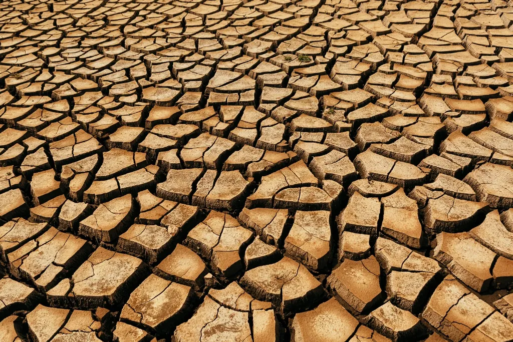 20240306_002315_0002