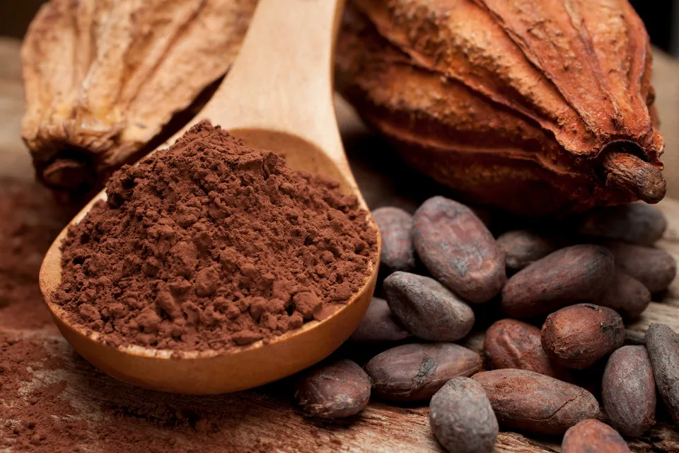 20240312_161505_0000