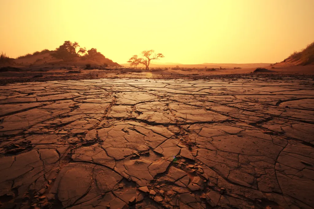 20240306_002315_0001