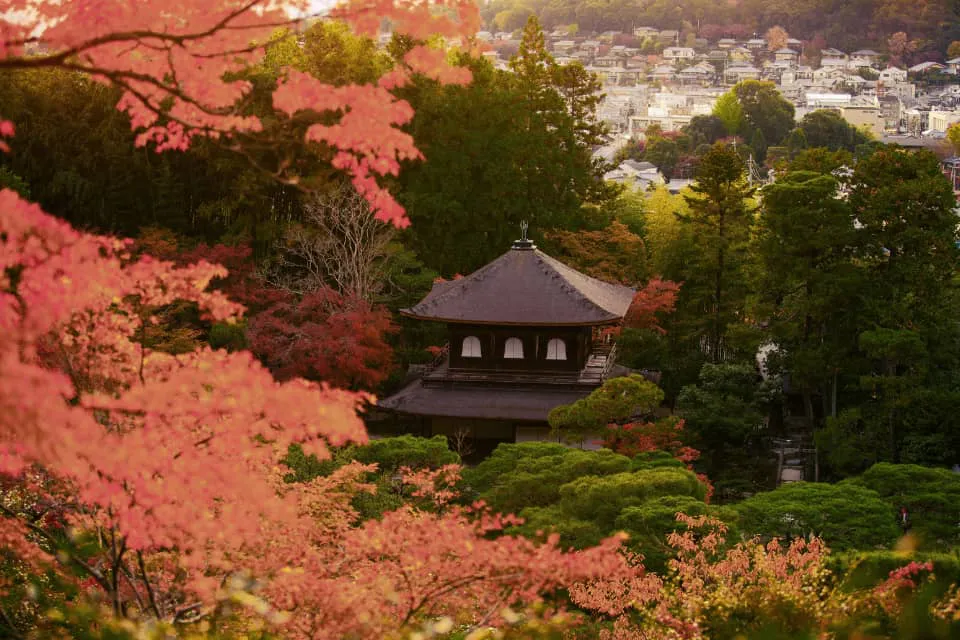 Japón en otoño