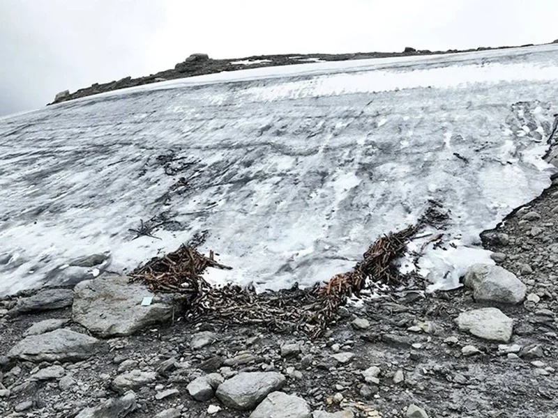 restos-madera-arqueologia-glaciar-noruega-sistema-caza-1500-años|Foto: Universitetsmuseet/UiB/Thomas Bruen Olsen 
