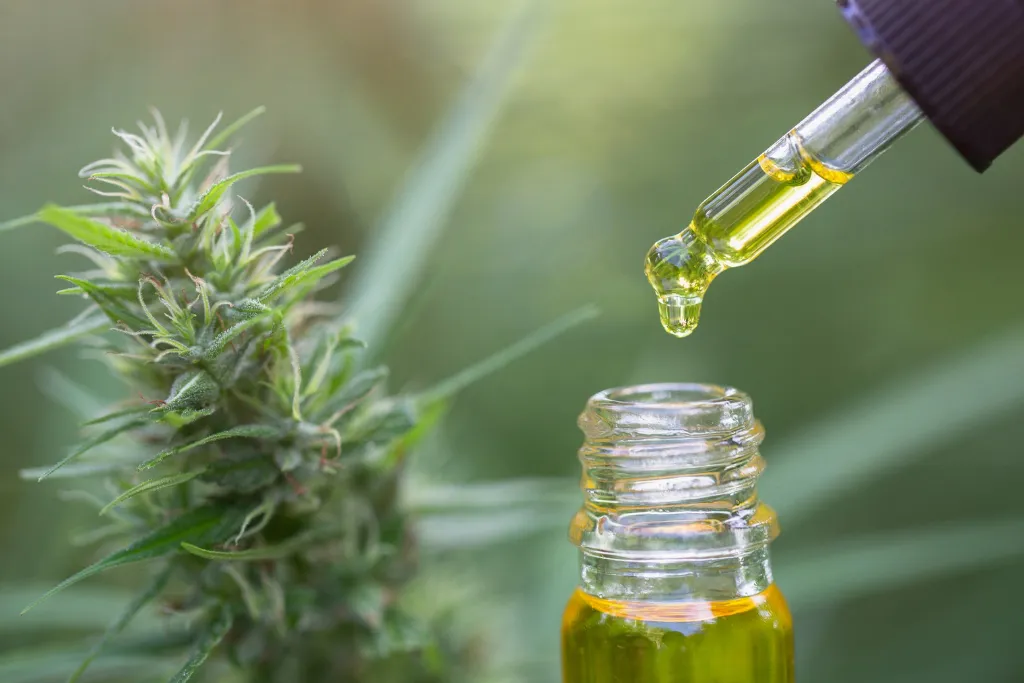 Aceite cannabis - empresarial