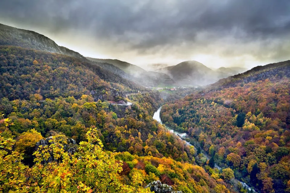 Selva de Irati en otoño
