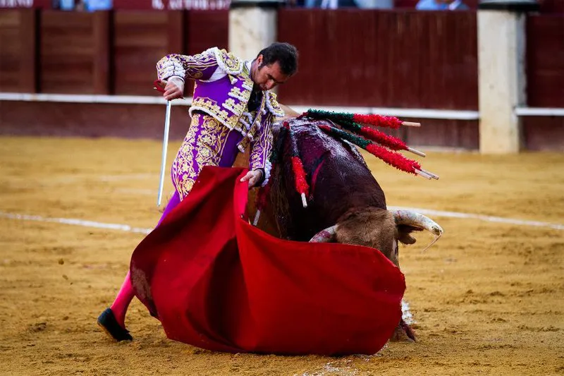 Torero español, David Fandila|Foto: Wikimedia Commons