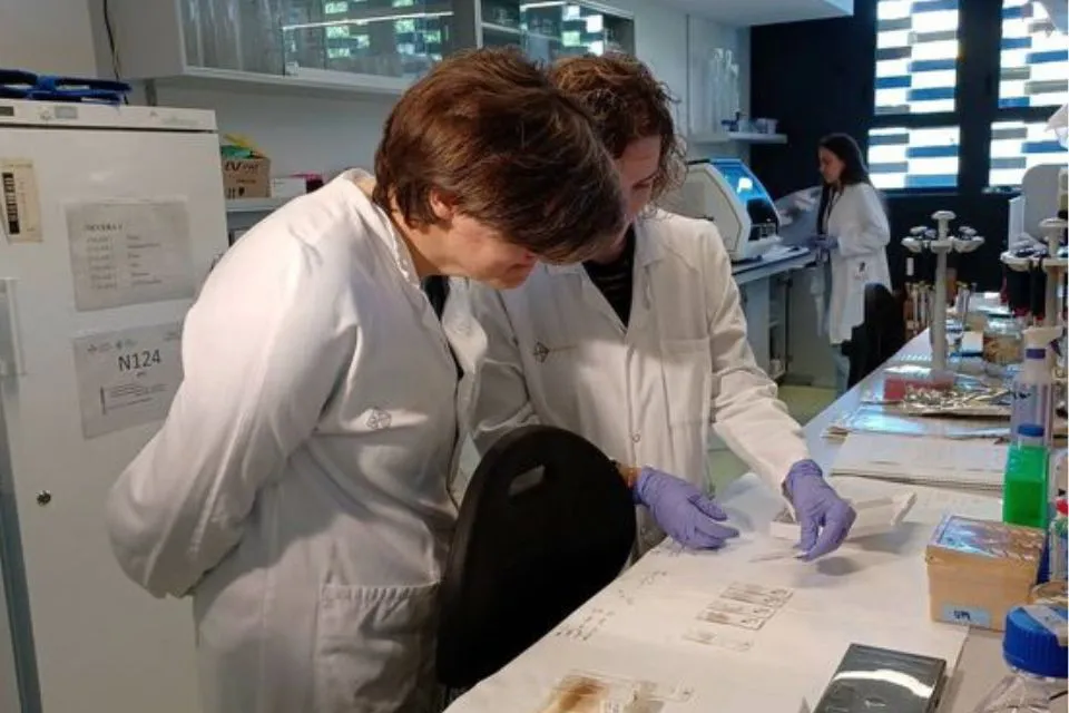 investigación Alzhéimer