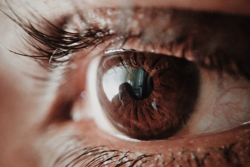 Mejorar la salud ocular en la era digital Salud y Bienestar