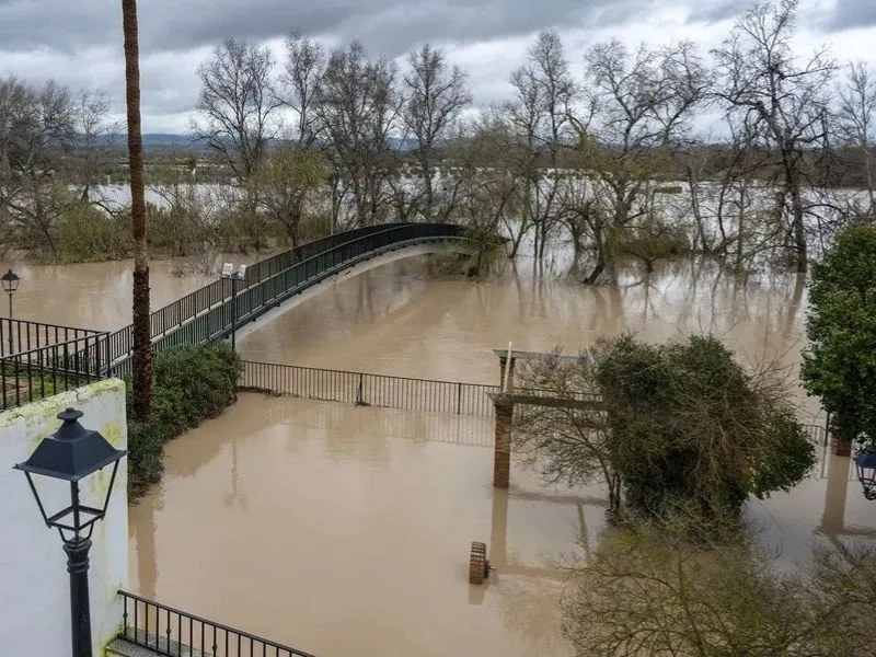 municipios-afectados-borrasca-declaracion-zona-catastrofica-gobierno-españa|Foto: EFE/José Manuel Pedrosa  El Gobierno aprueba la declaración de zona catastrófica para los municipios afectados por el temporal. Se prepara un decreto de ayudas y un Pacto de Estado climático