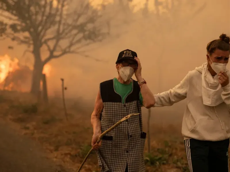 Vecinos de Carballeda de Avia en labores de extinción del incendio forestal de (Ourense) | Foto: EFE/ Brais Lorenzo 500 nuevos efectivos del Ejército de Tierra para apoyar las labores de extinción de los incendios forestales