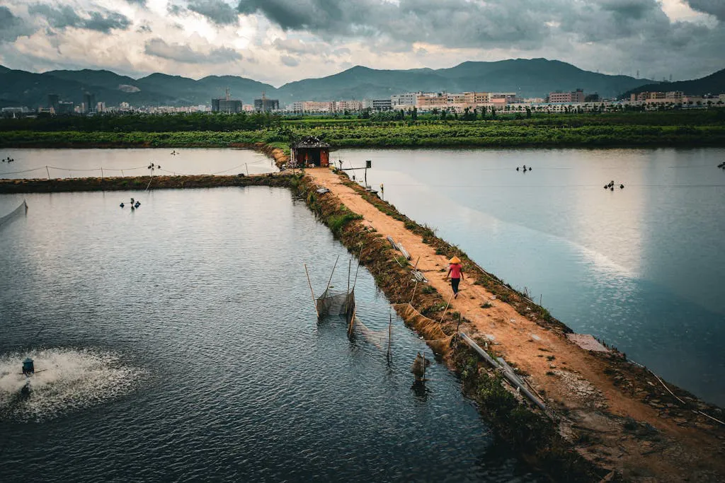 Generación de empleo y desarrollo rural Salud y Bienestar