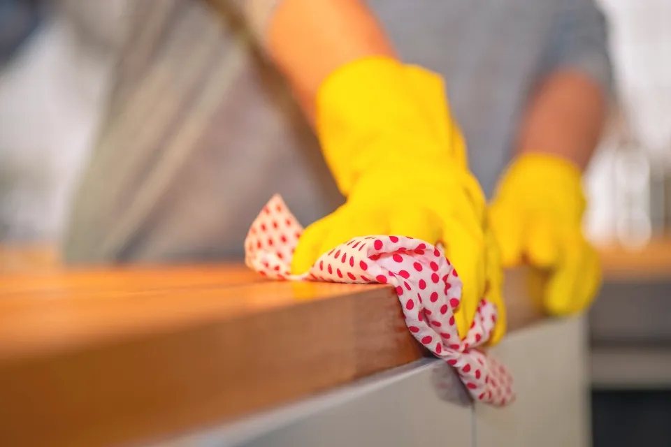 Trabajo doméstico - limpieza del hogar - trabajo