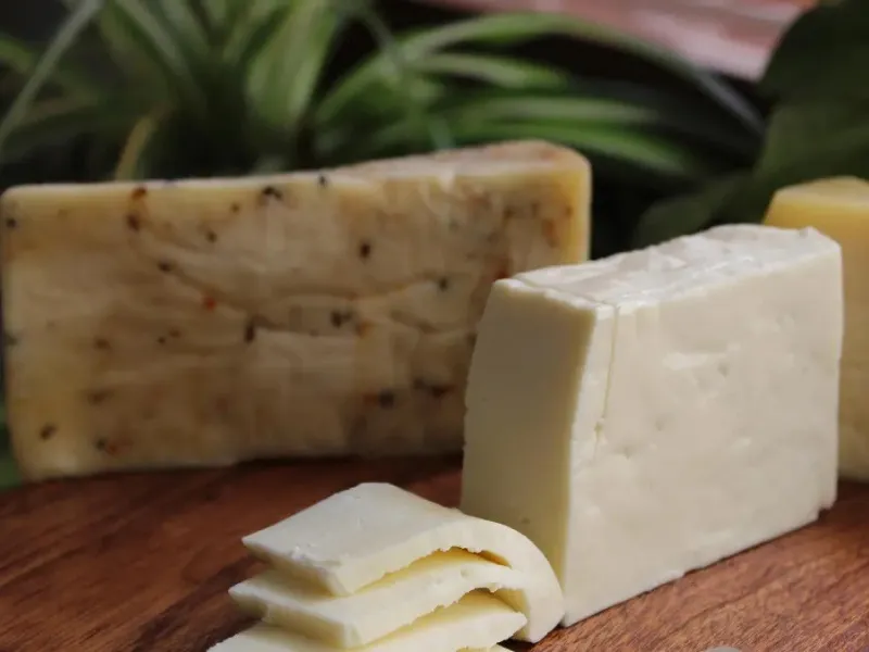 quesos-de-mezcla-envasados-en-supermercado-españa-alerta-listeria-aesan|Foto: 20minutos/Pixabay/faiza_adamjee