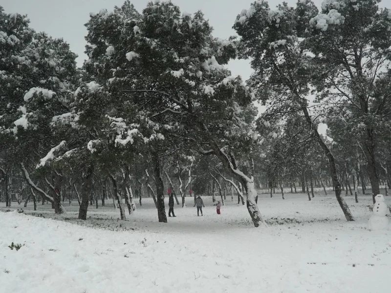 borrasca-therese-impacto-canarias-peninsula-espana