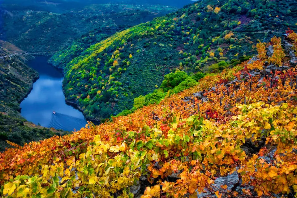 Ribeira Sacra Galicia en otoño