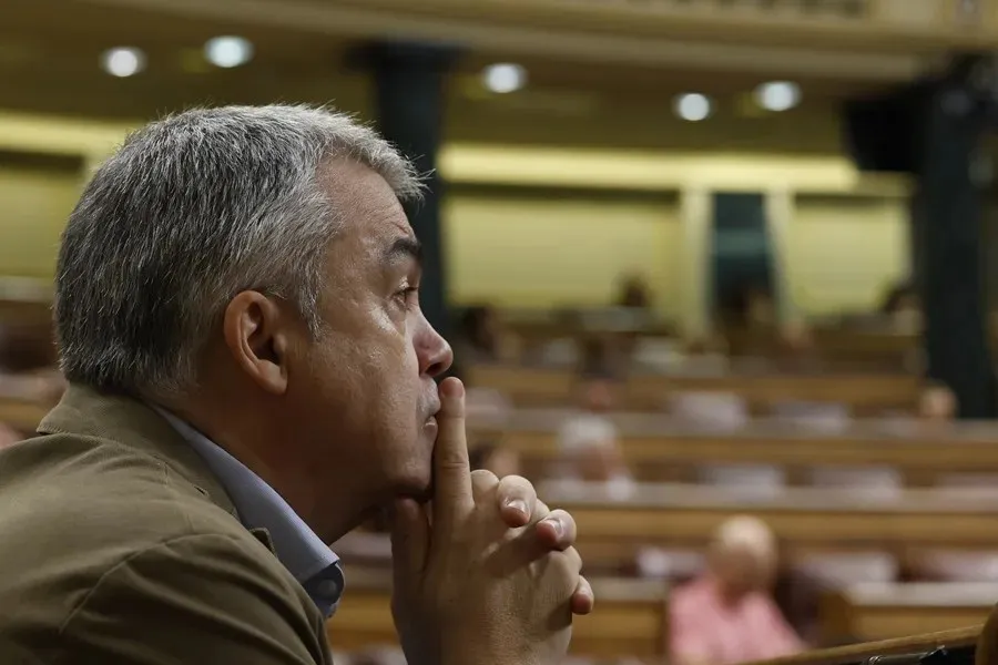El diputado socialista Santos Cerdán|Foto: EFE/Javier Lizon