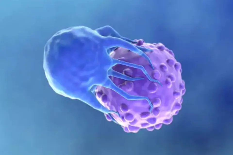 CAR-T|Foto: Europa Press/Istock/Luismmolina Sanidad amplía la cobertura de las terapias CAR-T contra el cáncer para personas con VIH