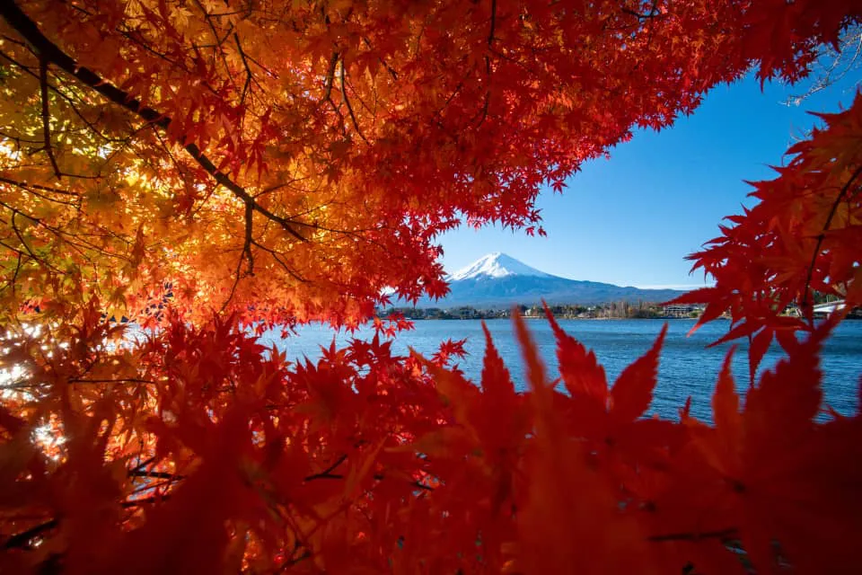 Lago Kawaguchi Japón portada