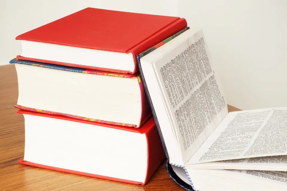 Diccionario español - RAE -nuevas palabras 2024