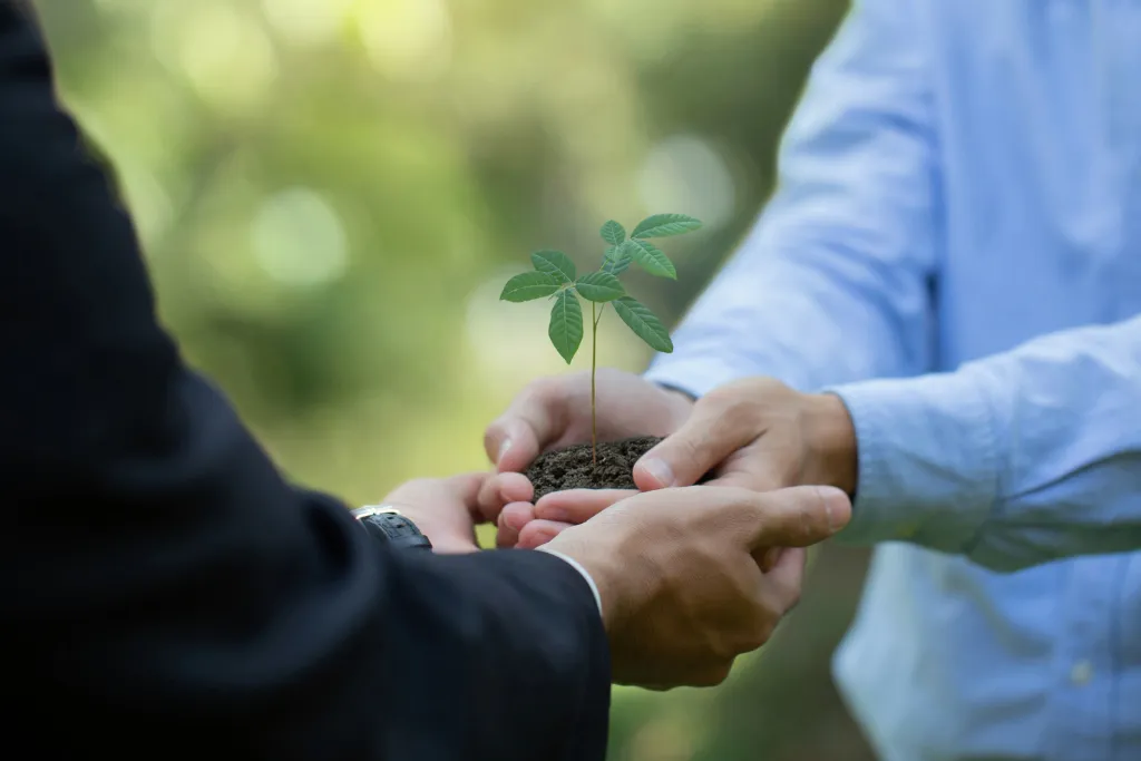 20240303_013431_0000