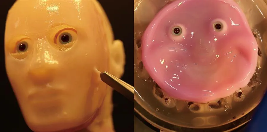 DESARROLLAN-ROBOT-FACIAL-PIEL-HUMANA