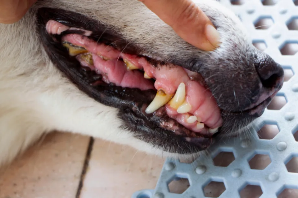 Diseño sin título (5)