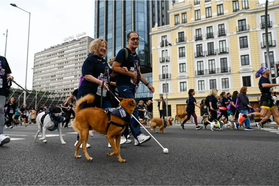 Perroton Madrid 2024 EFE Víctor Lerena