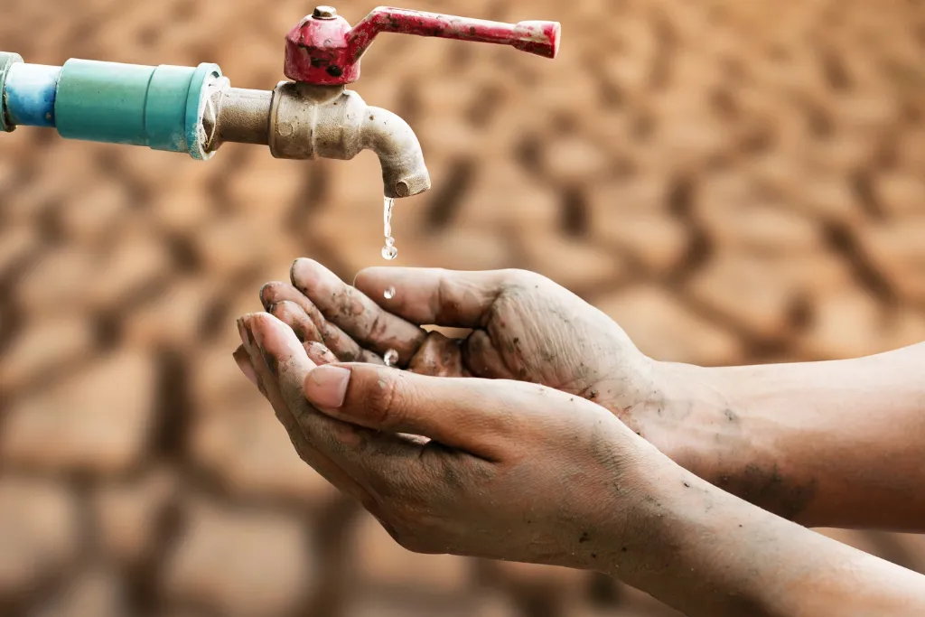 20240306_002315_0000