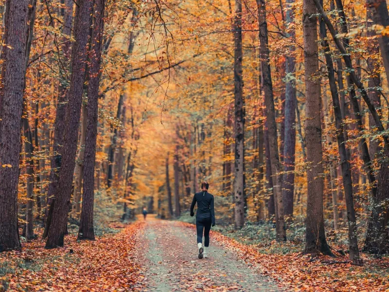Top 6 de rutas de senderismo cerca de Madrid para disfrutar el otoño
