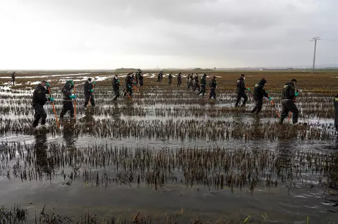 l'Albufera de València - Guardia Civil - búsqueda de cuerpos - Eduardo Manzana - Europa Press