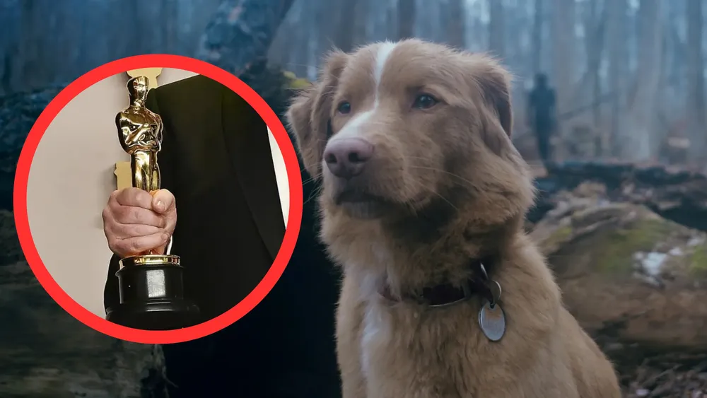 Indy, el can de 'Good Boy' es nominado en el Astra Film Awards 2026. Foto: IGN