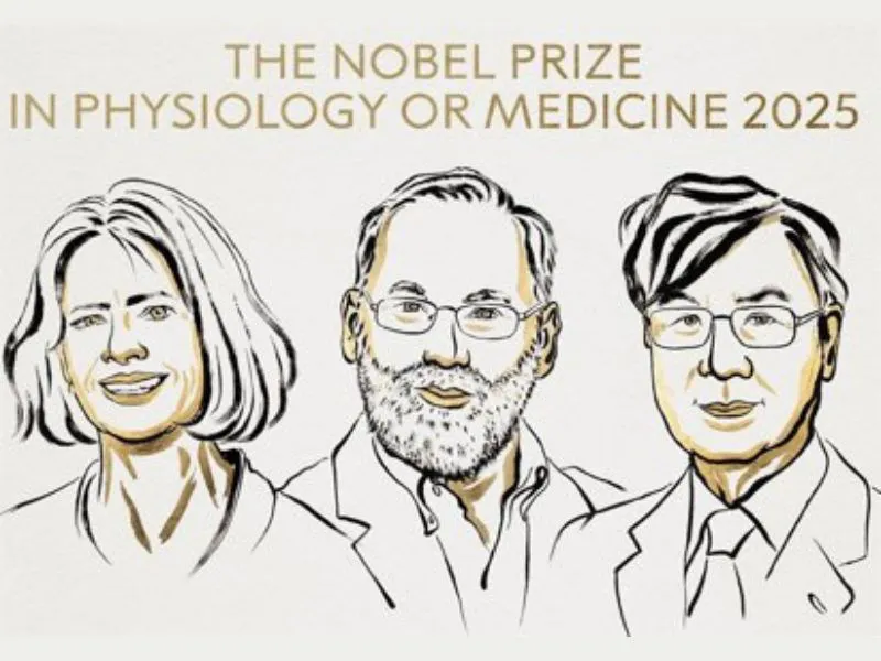 El Nobel de medicina premia tres científicos por la tolerancia inmune periférica|Foto: Europa Press/Nobel 