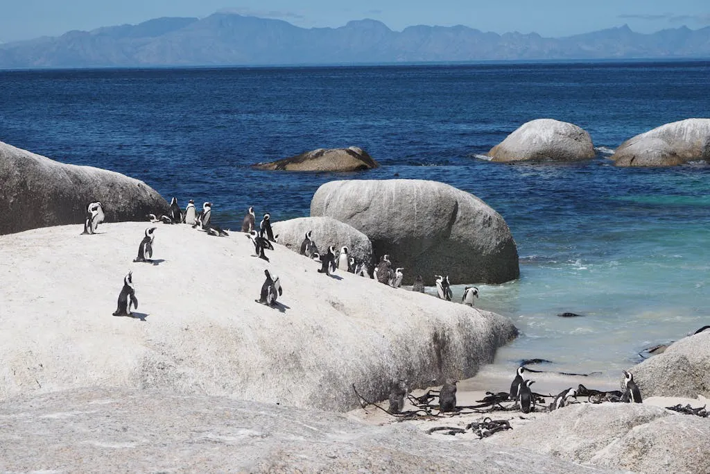 Parque Nacional Tsitsikamma, Sudáfrica