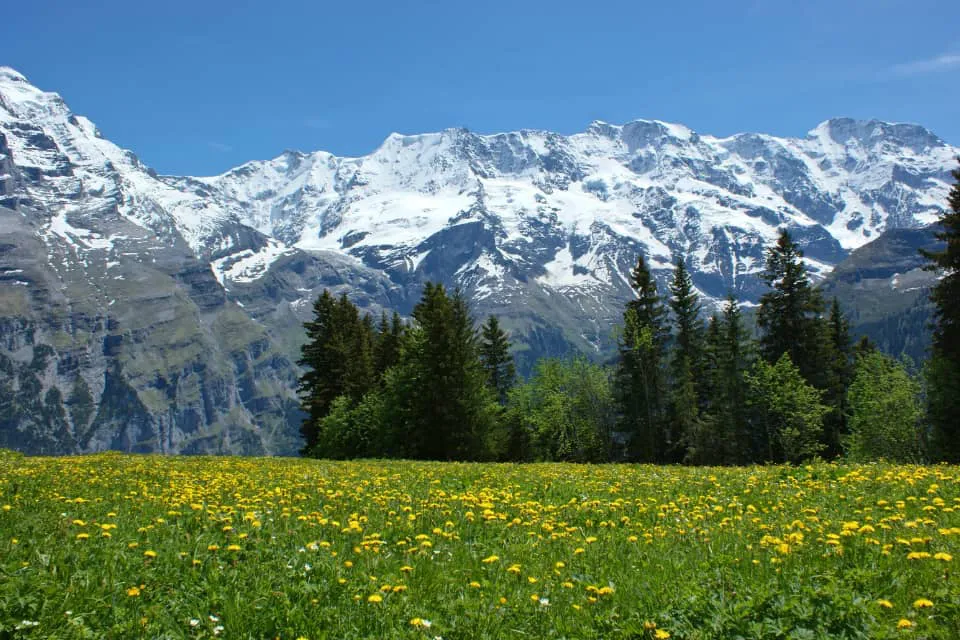 Paisaje natural - Portada