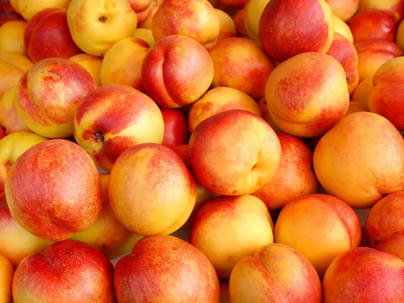 nectarinas-fruta-espana-alerta-alimentaria-residuos-insecticida La Unión Europea activa alerta grave tras detectar niveles ilegales del insecticida acetamiprid en nectarinas de origen español. Se ordena la retirada inmediata