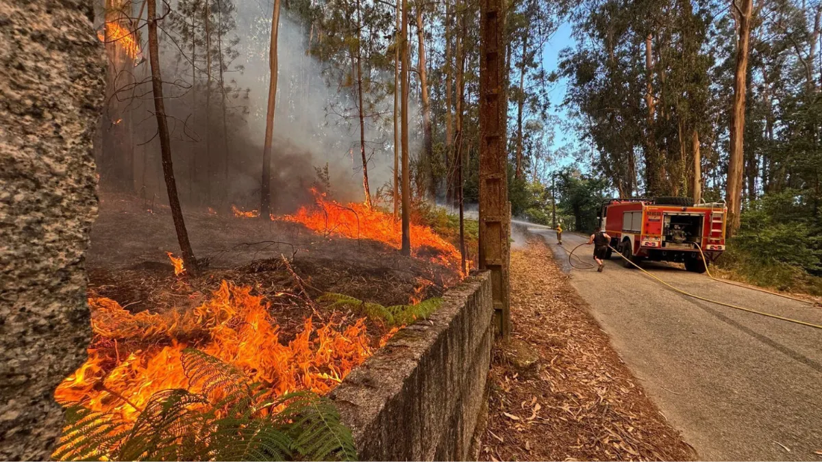 Las llamas han devastado aldeas, terrenos agrícolas y ganaderos en Galicia | Foto: Ideas Peregrinas