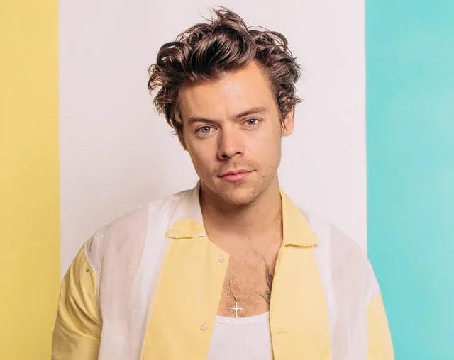Harry Styles anuncia su regreso con una gira para este 2026|Foto: Helene Marie Pambrun