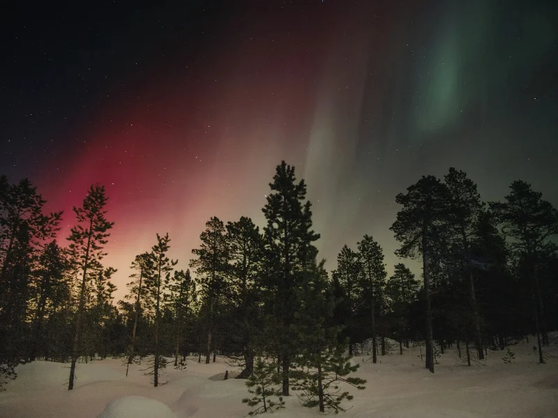 ranking-10-paises-mas-felices-del-mundo-2026-grafico-informe-global