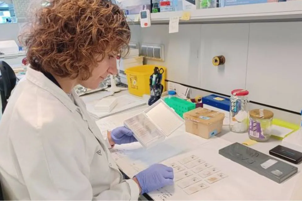 investigación Alzhéimer genes