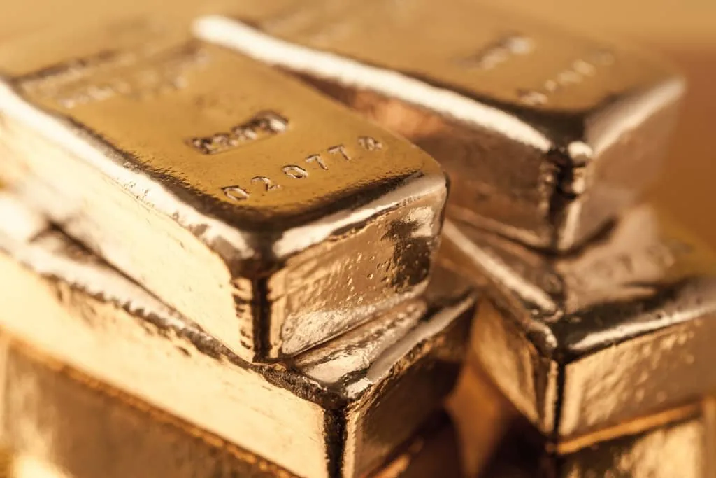 WhatsApp Image 2024-02-07 at 7.13.31 PM