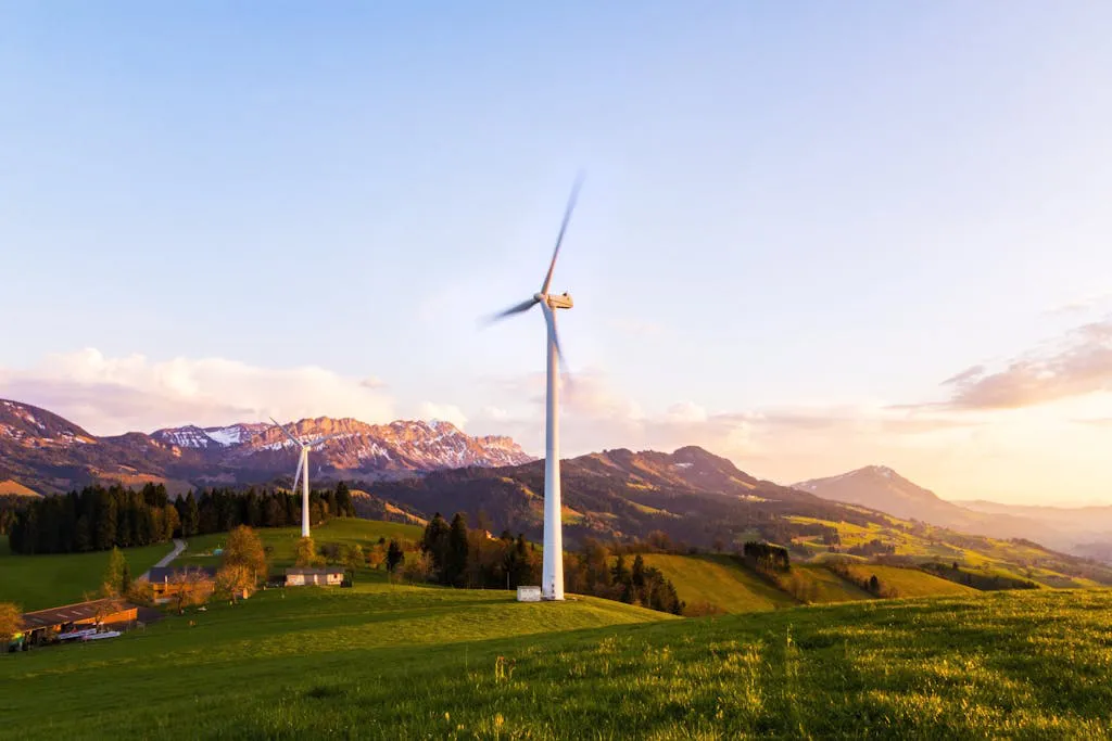 Auge de las energías renovables Actualidad