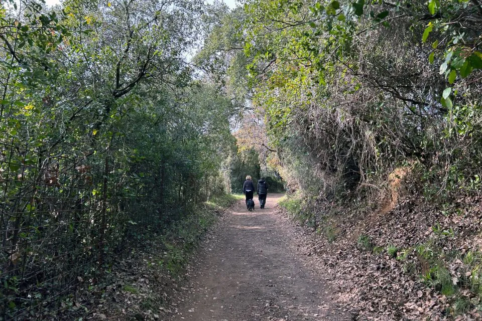 Unas personas caminan por un sendero de Aracena (Huelva). EFE/Fermín Cabanillas
