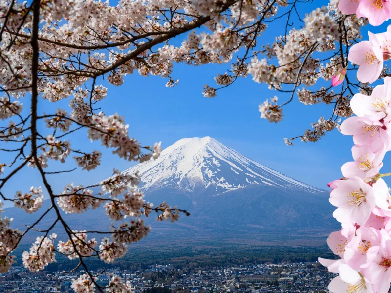 paisajes-cerezos-en-flor-sakura-japon-2026