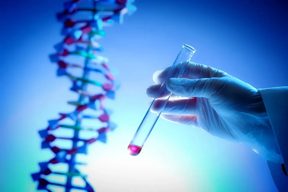Un equipo internacional logra una visualización sin precedentes del genoma humano