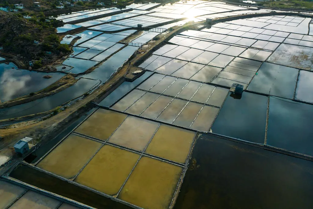 Acuicultura Salud y Bienestar