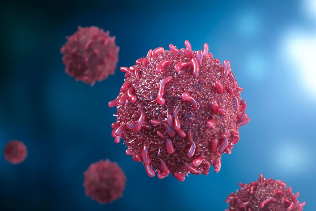 20240221_001248_0000