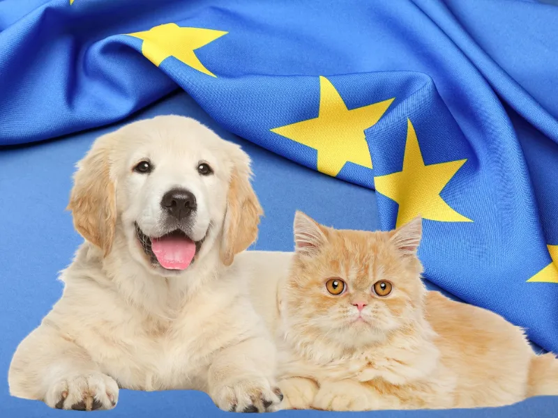 ue-normativa-perros-gatos-microchip-2028