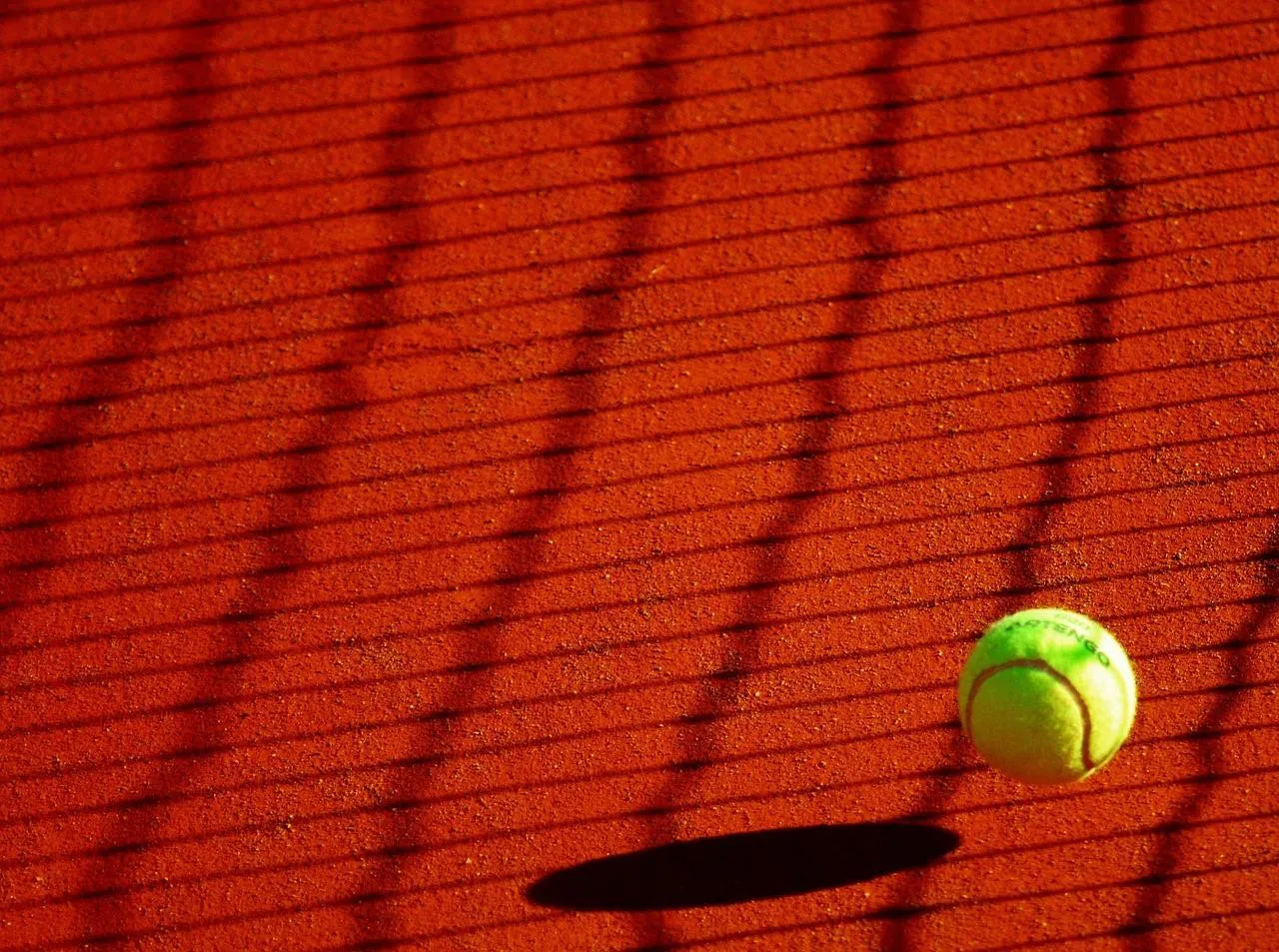 Pelota tenis