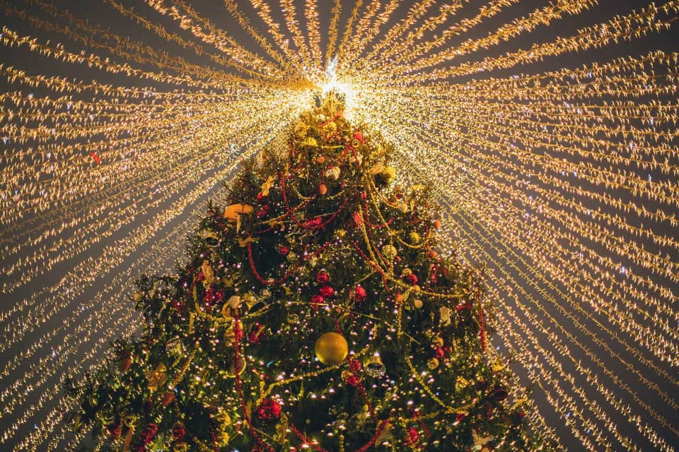 Navidad - Árbol de Navidad - luces navideñas - España  en Navidad - tradición en España