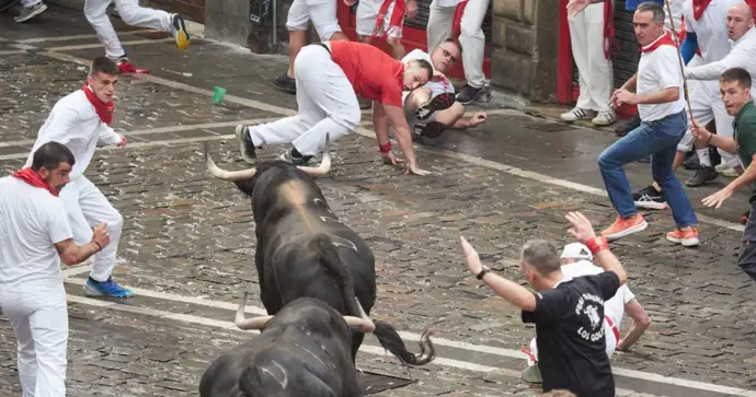 Toros de la ganadería gaditana en el primer encierro de los Sanfermines de 2025|Foto: Europa Press/Eduardo Sanz